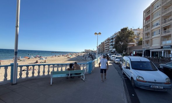 Gensalg - apartment -
Torrevieja - Costa Blanca