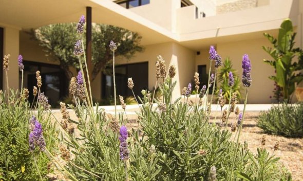 Nybyggeri - Villa -
La Marina