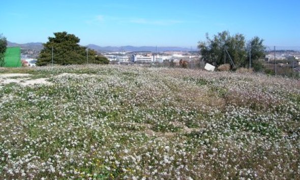 Reventa - Country House -
Ontinyent