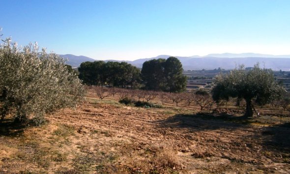 Resale - Country House -
Agullent