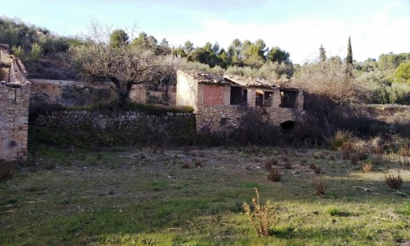 Gensalg - Country House -
Vall d'Alcalá - Vall D'Alcalá