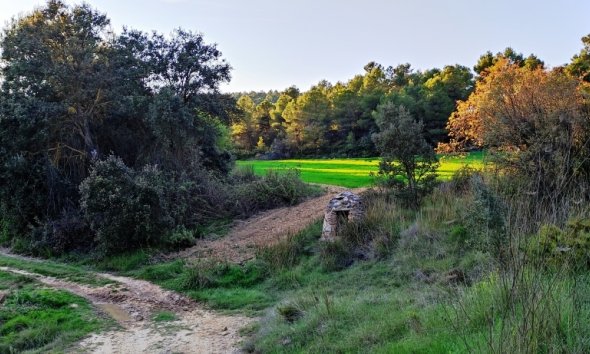 Reventa - Country House -
Bocairent