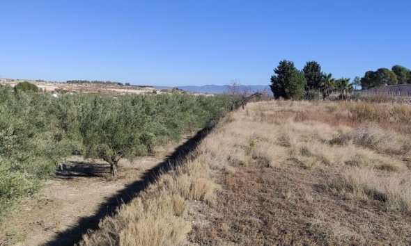 Reventa - Country House -
Agullent
