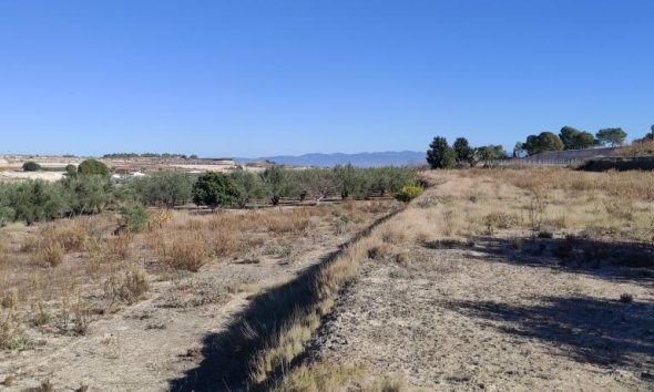 Reventa - Country House -
Agullent