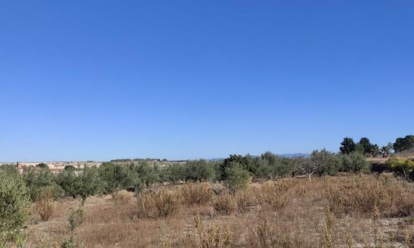 Reventa - Country House -
Agullent