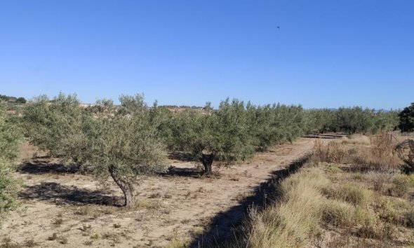 Reventa - Country House -
Agullent