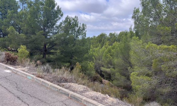 Reventa - Land -
Altea - Sierra de Altea
