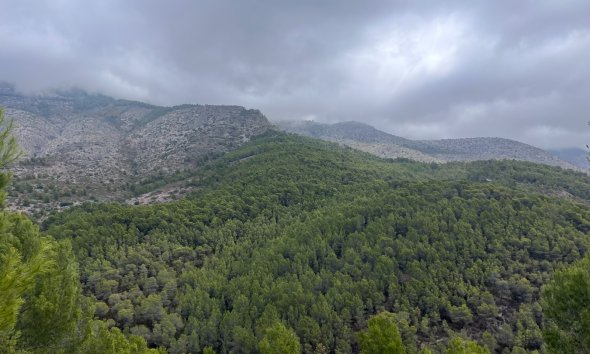 Reventa - Land -
Altea - Sierra de Altea