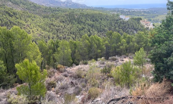 Reventa - Land -
Altea - Sierra de Altea