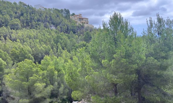 Reventa - Land -
Altea - Sierra de Altea