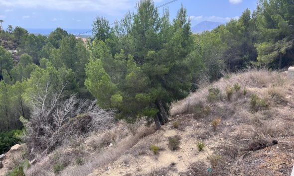 Reventa - Land -
Altea - Sierra de Altea