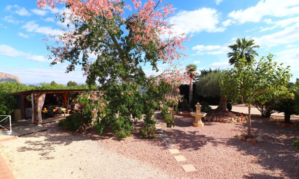 Gensalg - Country House -
Orihuela - La Campaneta