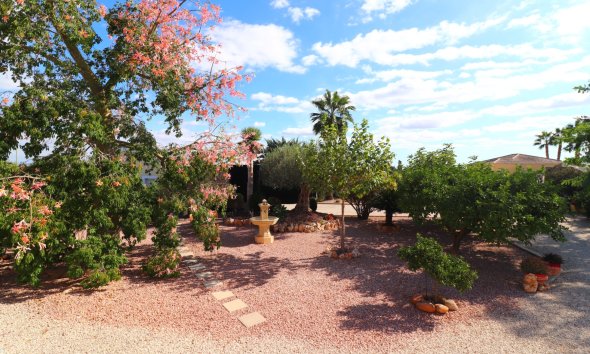 Gensalg - Country House -
Orihuela - La Campaneta
