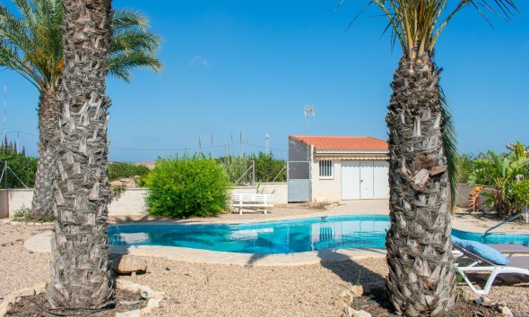 Gensalg - Villa -
Guardamar del Segura - El Raso