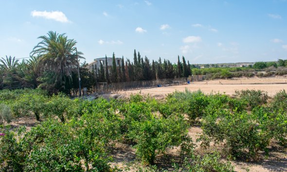Gensalg - Villa -
Guardamar del Segura - El Raso