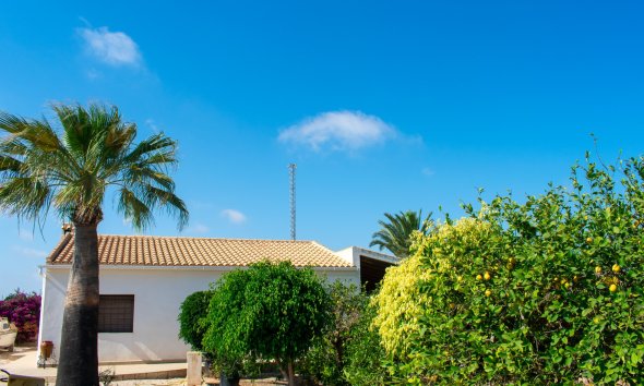 Gensalg - Villa -
Guardamar del Segura - El Raso