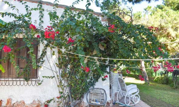 Gensalg - Villa -
Orihuela Costa - Punta Prima