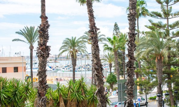 Reventa - apartment -
Torrevieja