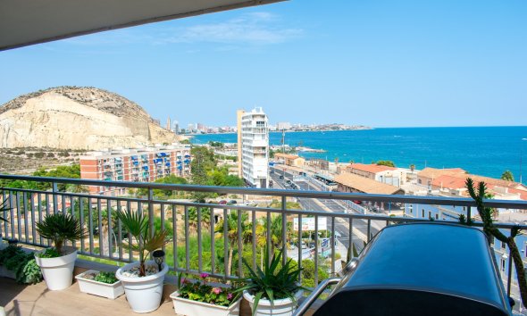 Gensalg - apartment -
Alicante - Casco antiguo