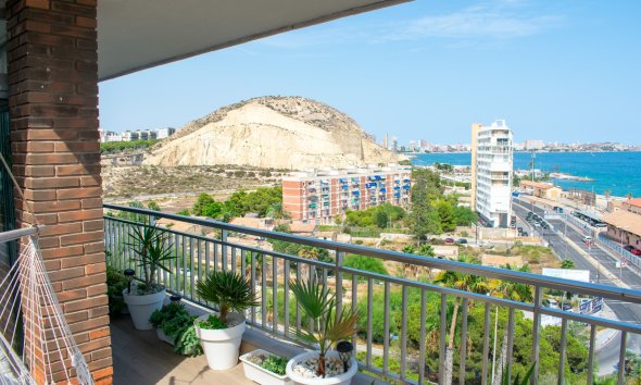 Gensalg - apartment -
Alicante - Casco antiguo