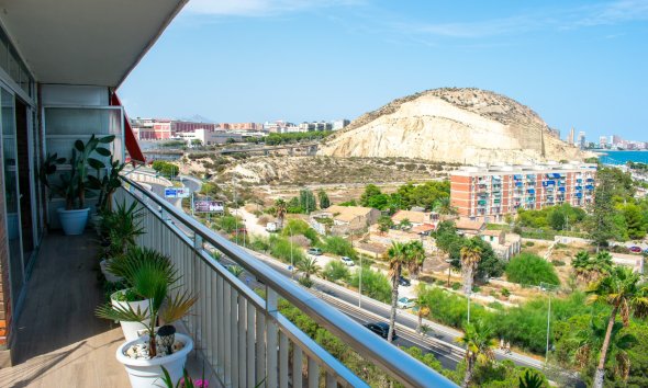 Gensalg - apartment -
Alicante - Casco antiguo