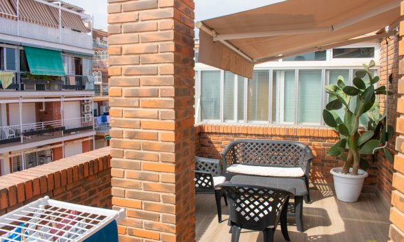 Gensalg - apartment -
Alicante - Casco antiguo