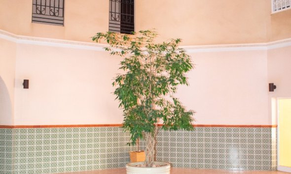 Gensalg - apartment -
Torrevieja - Playa Los Locos