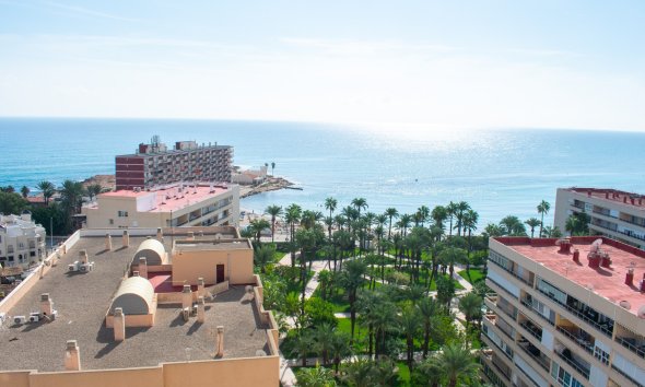 Gensalg - apartment -
Torrevieja - Playa Los Locos