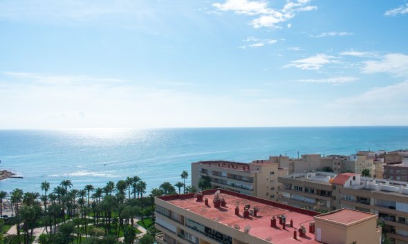 Gensalg - apartment -
Torrevieja - Playa Los Locos