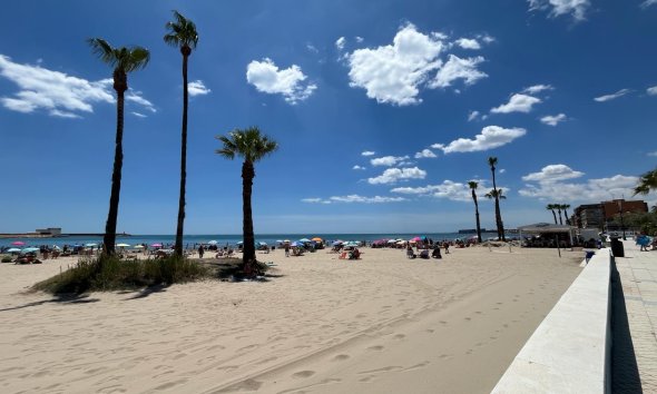 Gensalg - apartment -
Torrevieja