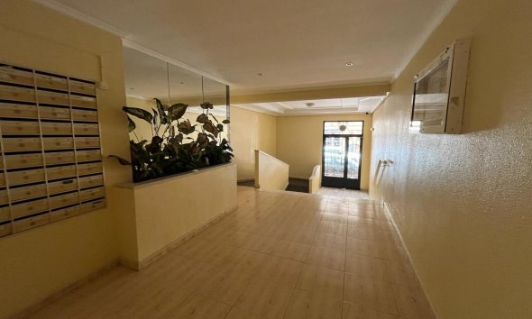 Gensalg - apartment -
Torrevieja