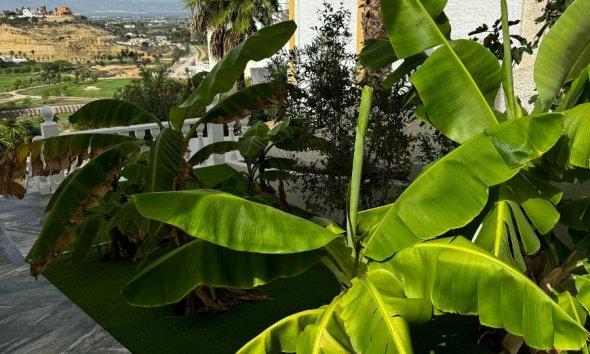 Gensalg - Villa -
Ciudad Quesada