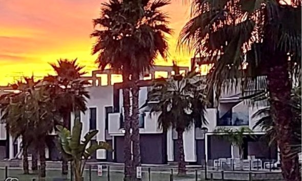 Gensalg - apartment -
Guardamar del Segura - Guardamar - El Raso