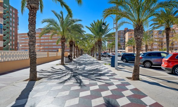Gensalg - apartment -
Arenales del Sol - Segunda linea playa