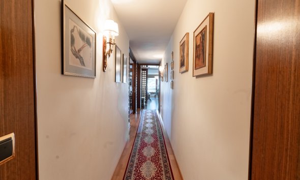 Gensalg - apartment -
Alicante - - Centro  -