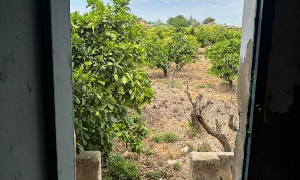 Gensalg - Country House -
Rojales - Ciudad Quesada