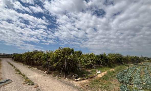 Gensalg - Country House -
Rojales - Ciudad Quesada
