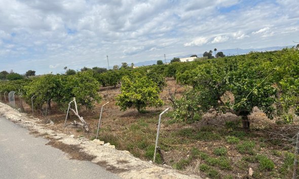 Gensalg - Country House -
Rojales - Ciudad Quesada