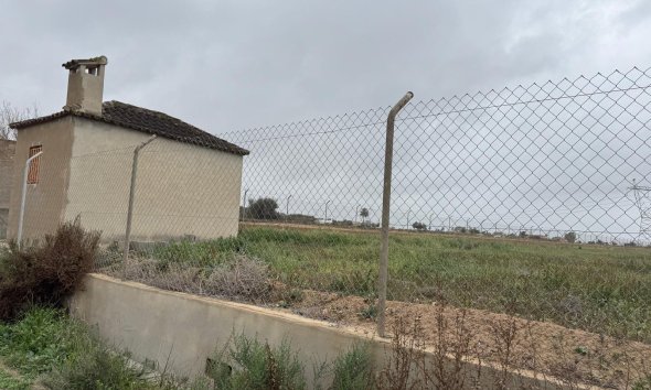 Gensalg - Land -
Elche - La Marina