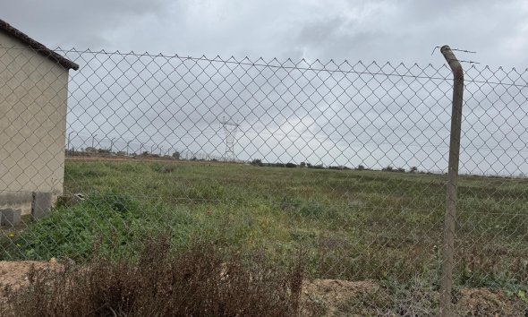 Gensalg - Land -
Elche - La Marina