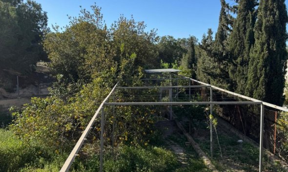 Gensalg - Villa -
Elche - La Marina