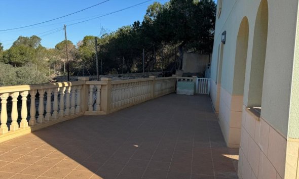 Gensalg - Villa -
Elche - La Marina