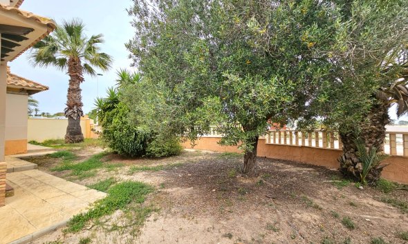 Gensalg - Villa -
Elche - La Marina