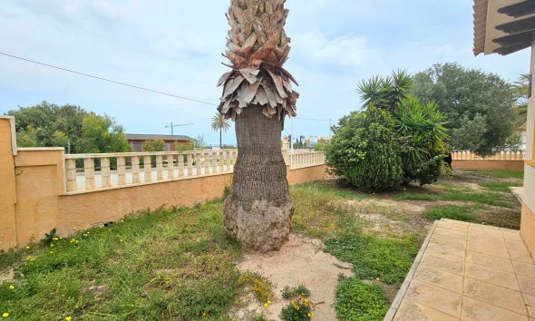 Gensalg - Villa -
Elche - La Marina