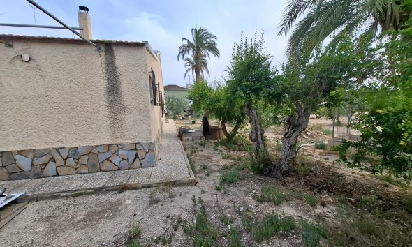 Gensalg - Rækkehus -
Elche - Matola