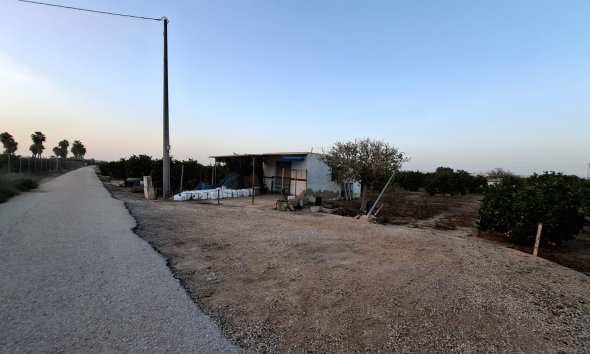 Gensalg - Land -
Guardamar del Segura