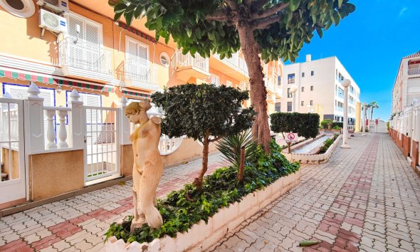 Gensalg - apartment -
Torrevieja - La Mata