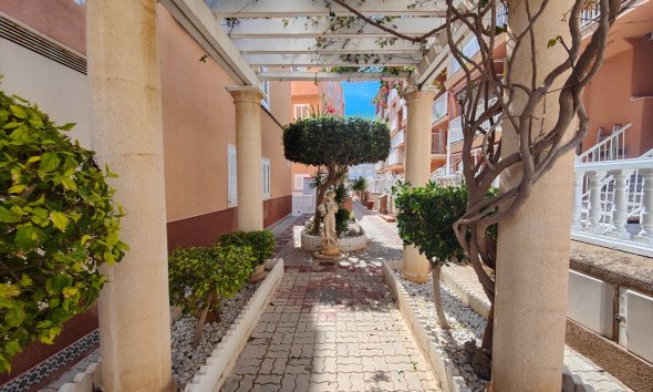 Gensalg - apartment -
Torrevieja - La Mata
