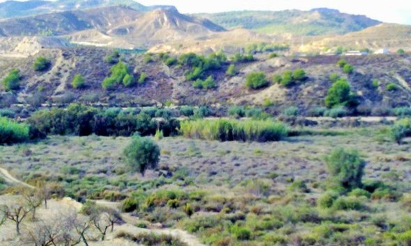 Gensalg - Land -
Torremendo