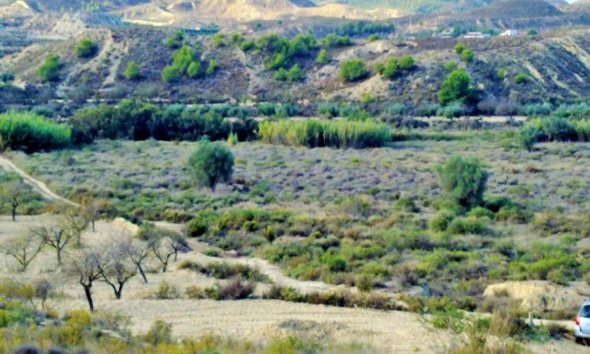Gensalg - Land -
Torremendo